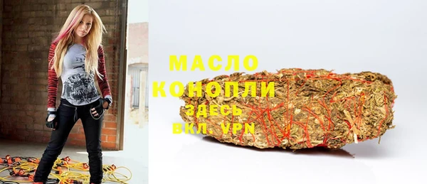 молекула духа Богданович