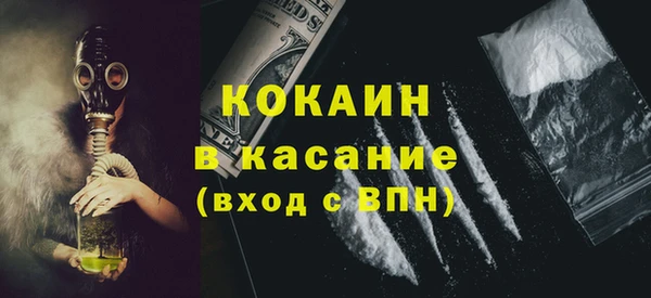 молекула духа Богданович