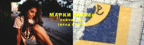 молекула духа Богданович