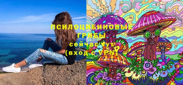 молекула духа Богданович