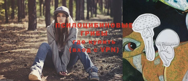 молекула духа Богданович