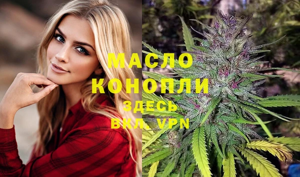 молекула духа Богданович