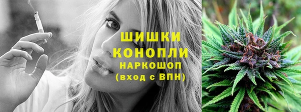 молекула духа Богданович