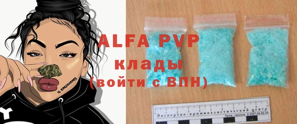 молекула духа Богданович
