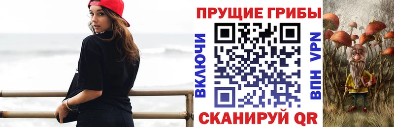 Галлюциногенные грибы MAGIC MUSHROOMS Ленинградская